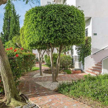Royal Oasis Club At Pueblo Quinta By Diamond 3*